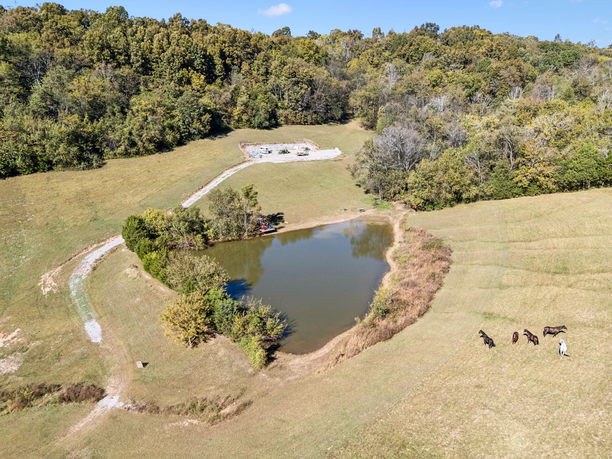  2846 Fuller Hollow Rd, Cornersville, TN, 37047 - 物件實景