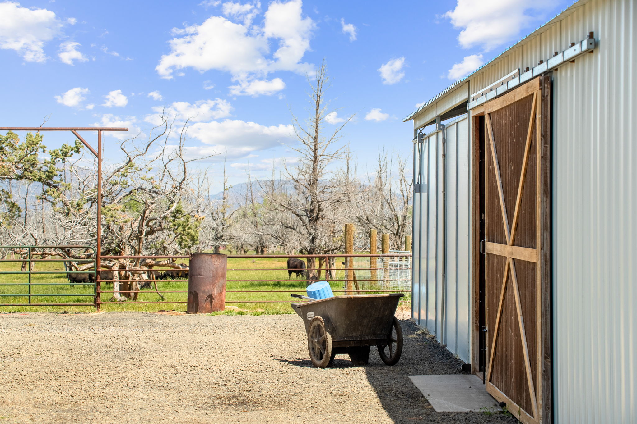 13501 SW Riggs Rd., Powell Butte, Oregon, 97753, United States, 3 Bedrooms Bedrooms, ,4 BathroomsBathrooms,Farm And Agriculture,For Sale,13501 SW Riggs Rd.,1623020