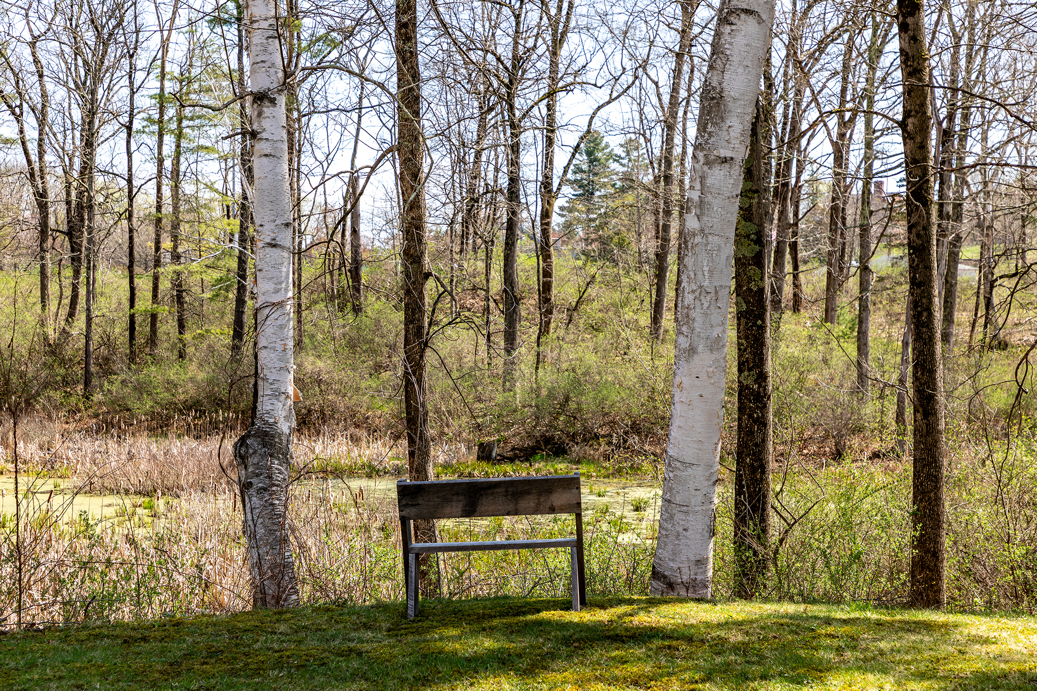  40 Interlaken Estates - 物件實景