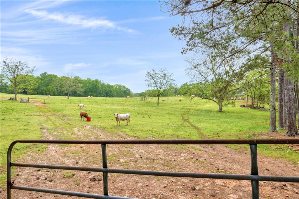 Shiloh, Georgia, 31826, United States, 3 Bedrooms Bedrooms, ,1 BathroomBathrooms,Land,For Sale,1974369