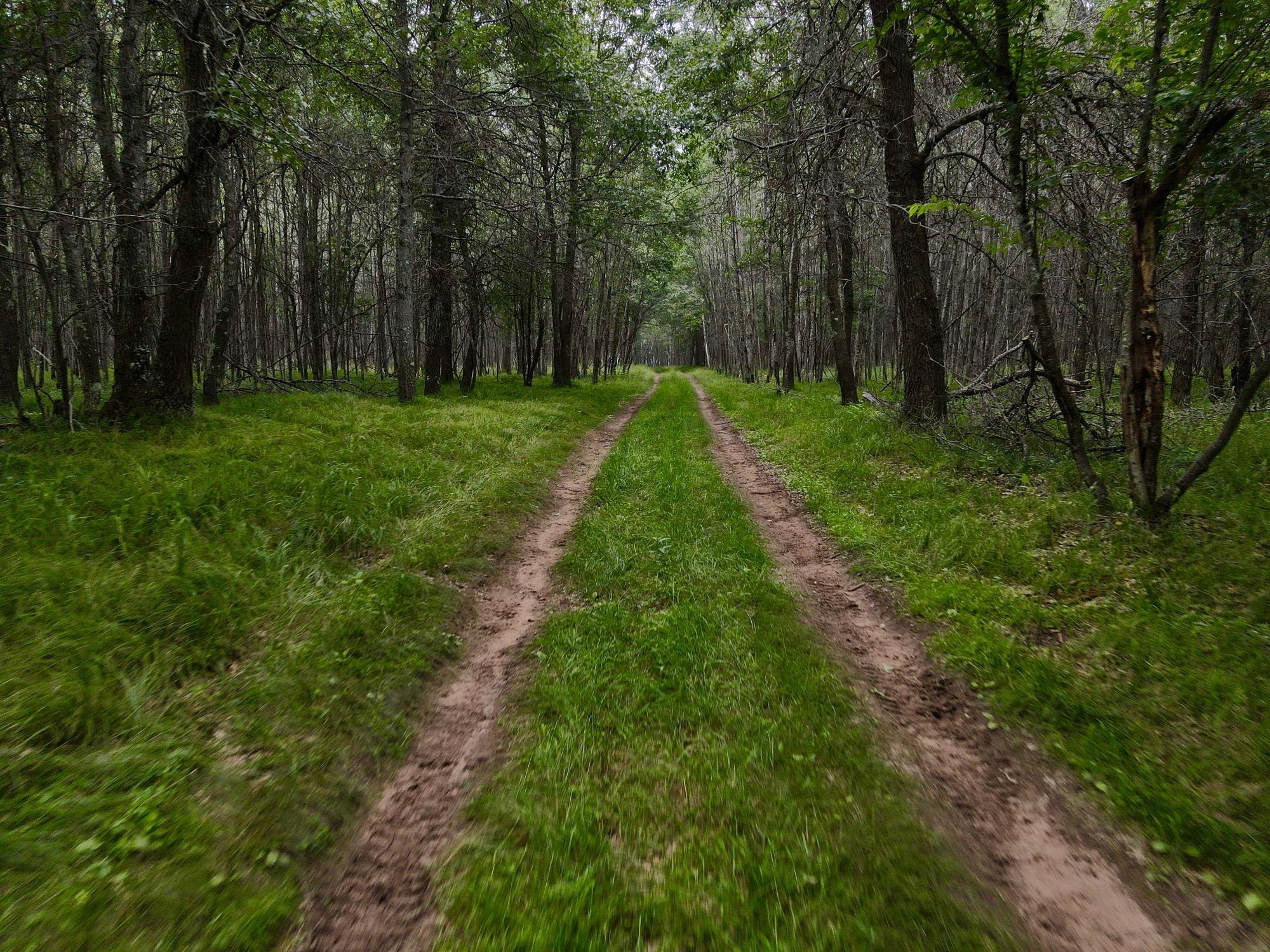 Lake Tomahawk, Wisconsin, 54487, United States, ,Residential,For Sale,1973874