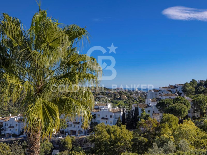 Benahavís, Andalusia, ES, 3 Bedrooms Bedrooms, ,3 BathroomsBathrooms,Residential,For Sale,1793409