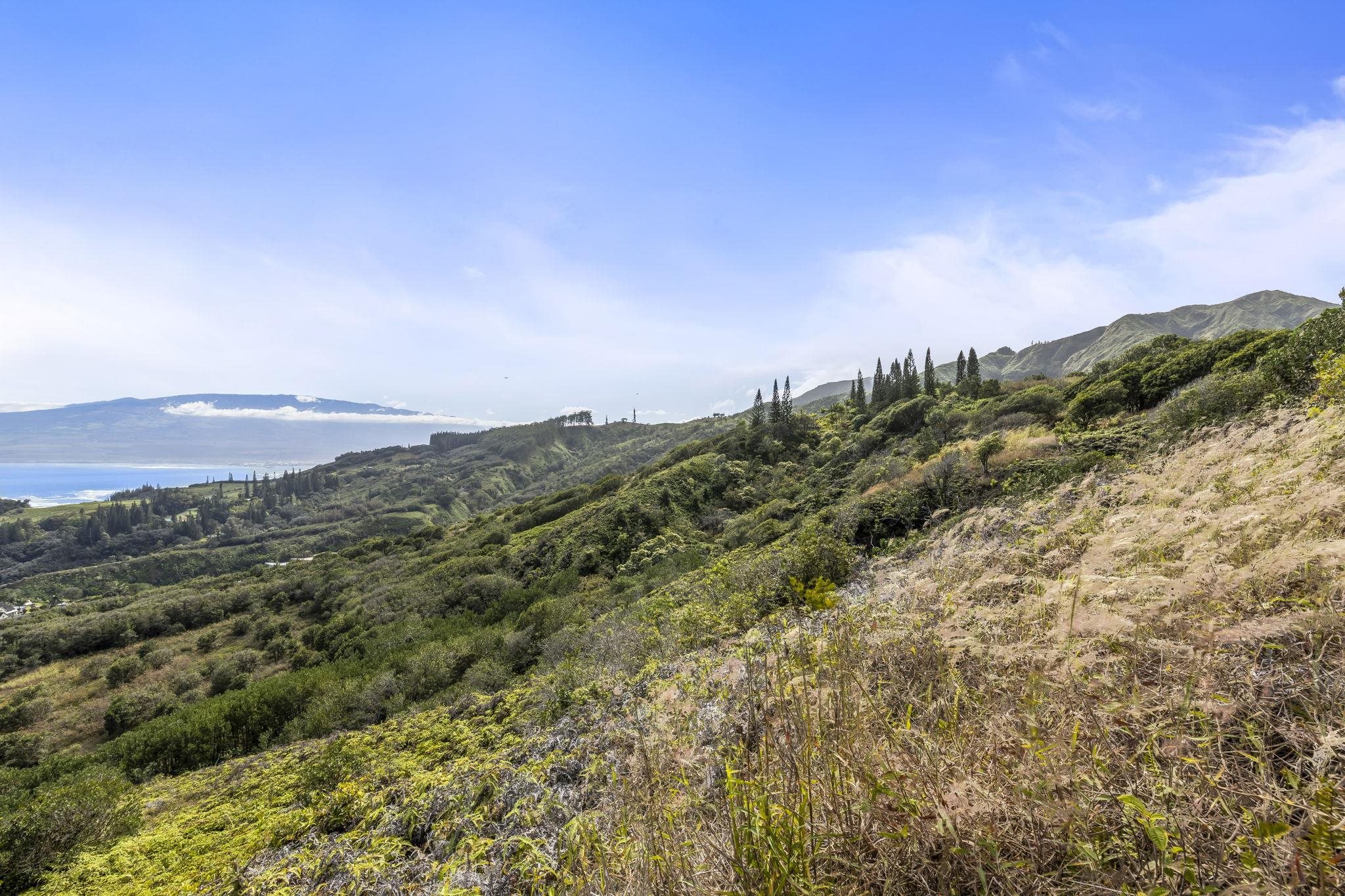 63 Lahaole Pl, Wailuku, Hawaii, 96793, United States, ,Land,For Sale,63 Lahaole Pl,1676772