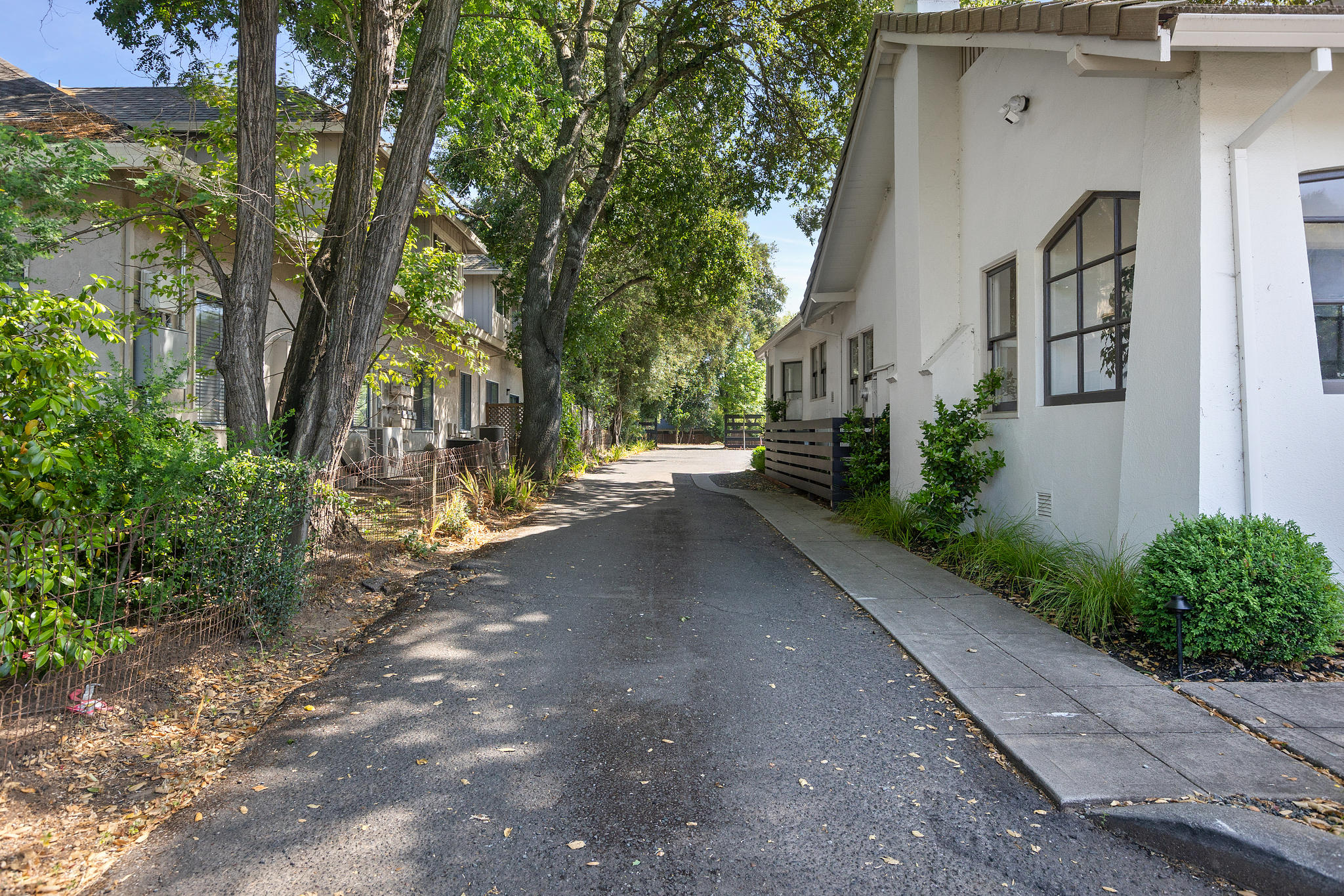  369 W Napa Street - 物件實景