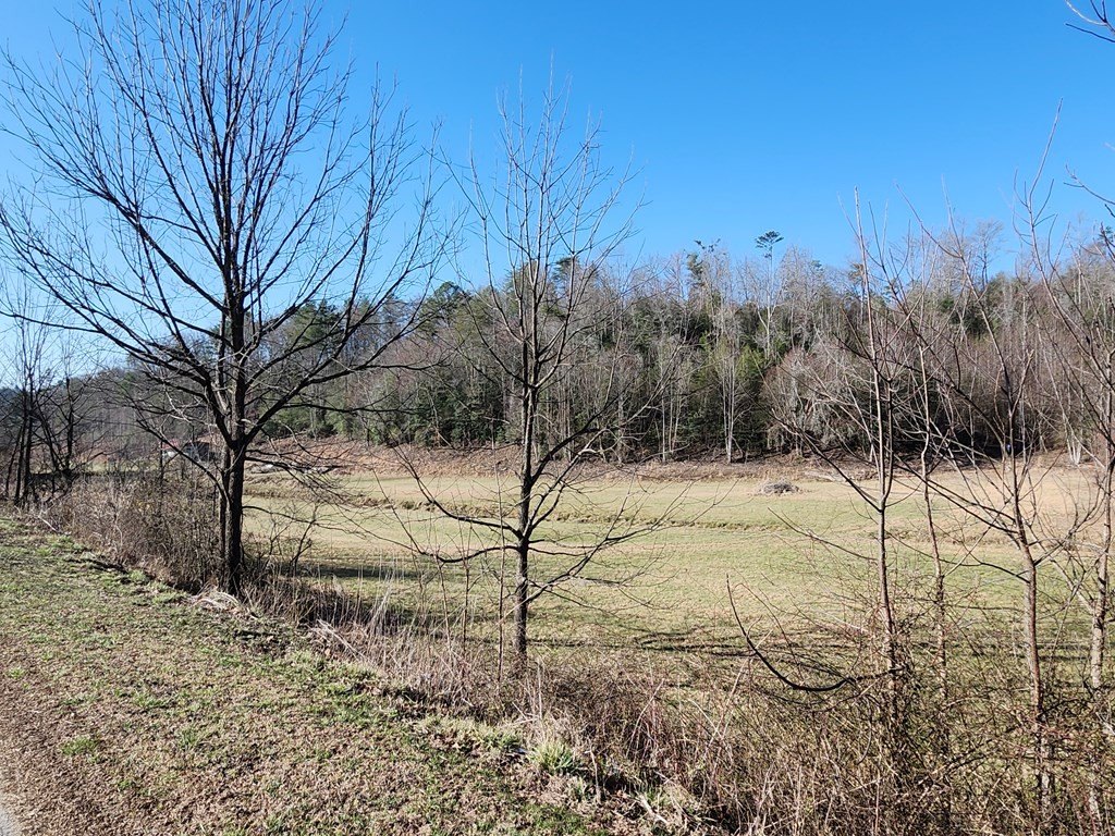 Murphy, North Carolina, 28906, United States, ,Residential,For Sale,1864976
