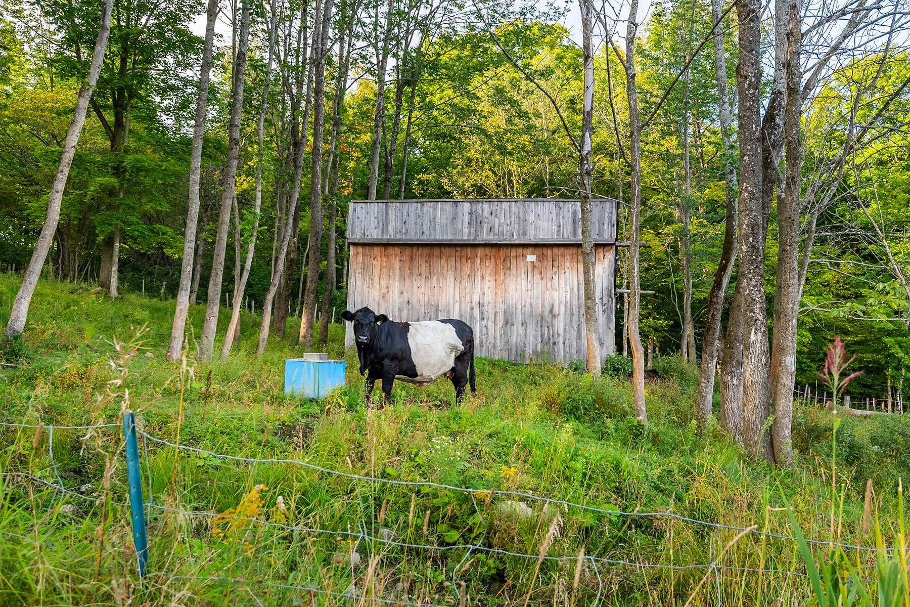  Hatley - Canton, Eastern Townships - 物件實景