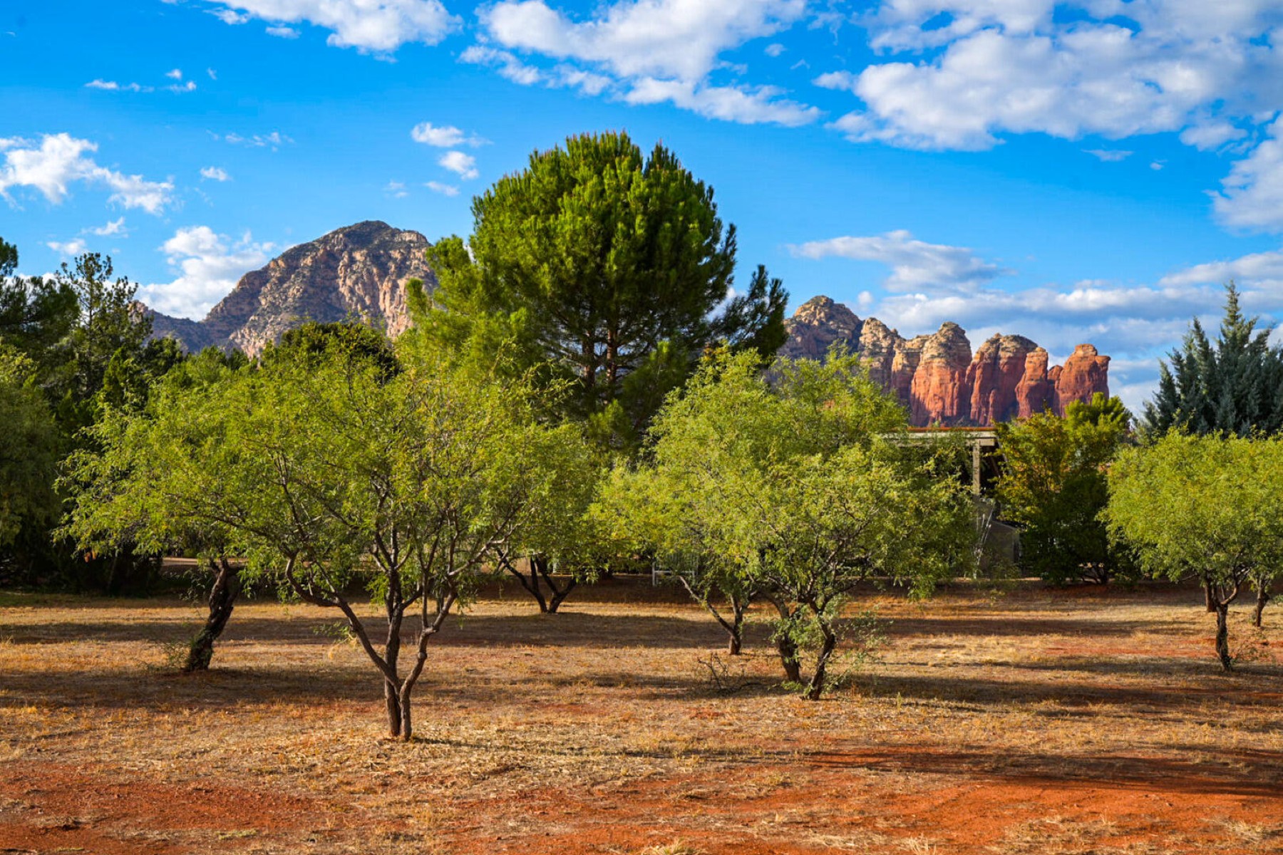  180 Sierra Road¦Sedona, AZ - 物件實景