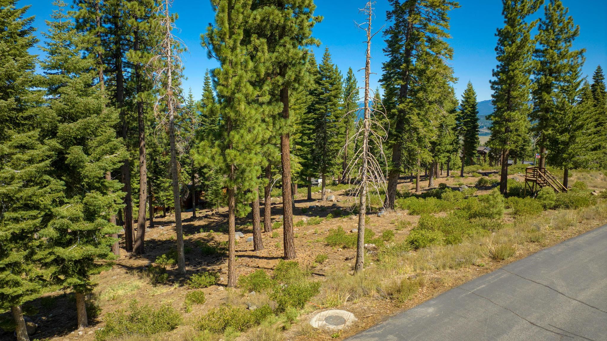 Truckee, California, 96161, United States, ,Land,For Sale,1999016
