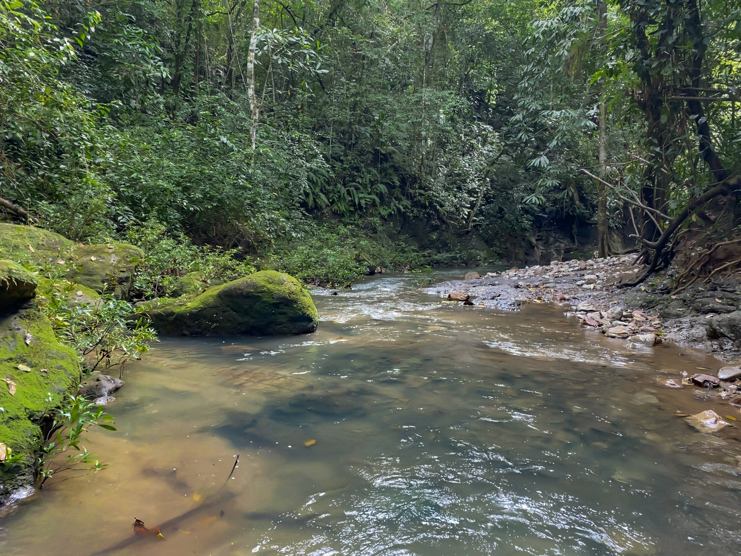 Las Delicias, Delicias, Puntarenas, CR, ,Land,For Sale,Las Delicias,1613556