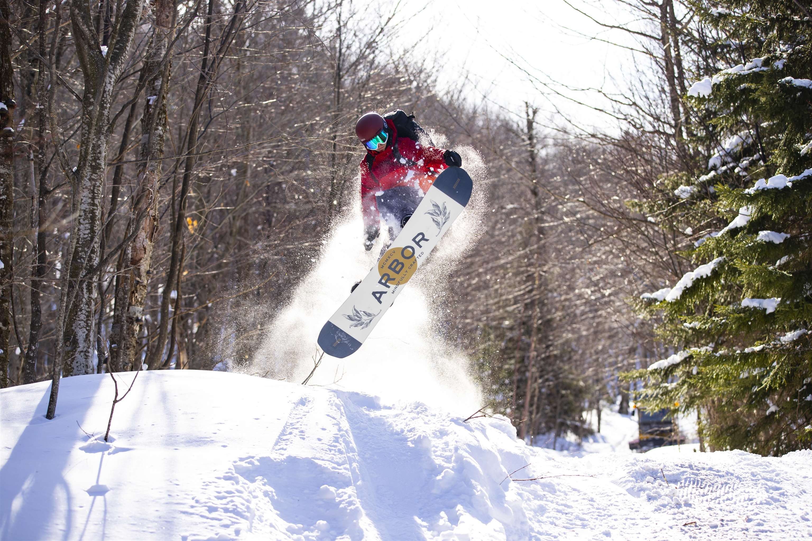 Jay, Vermont, 05859, United States, ,Land,For Sale,1999221