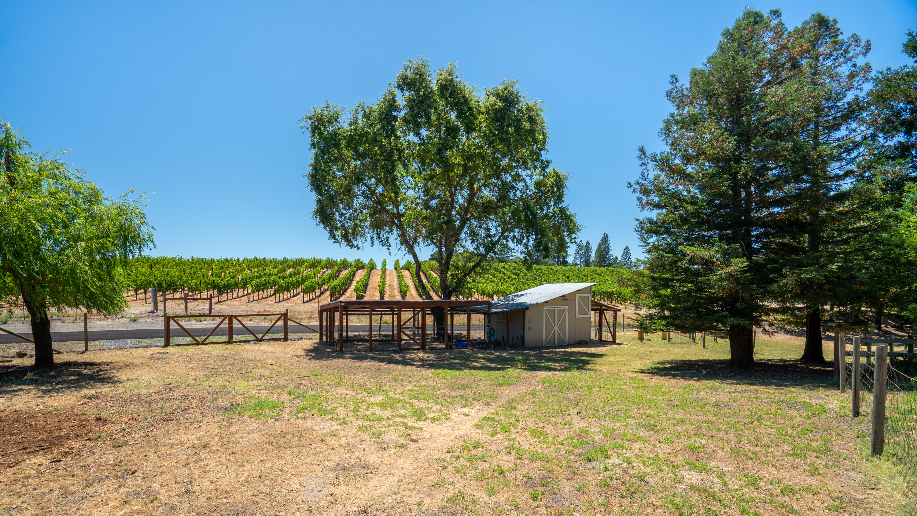  Sonoma Country Lifestyle - 物件實景