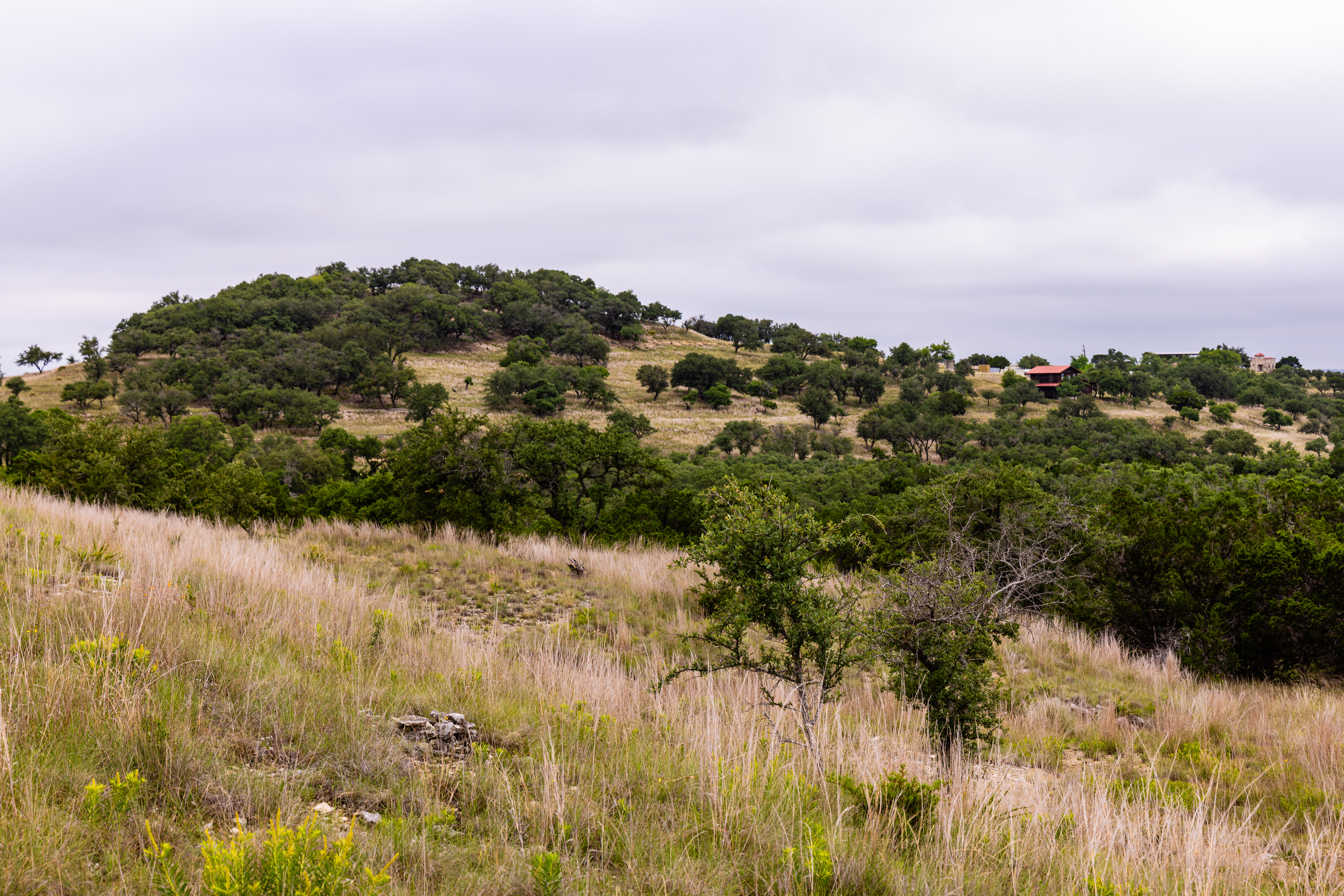  Expansive 10-Acre Lot - 物件實景
