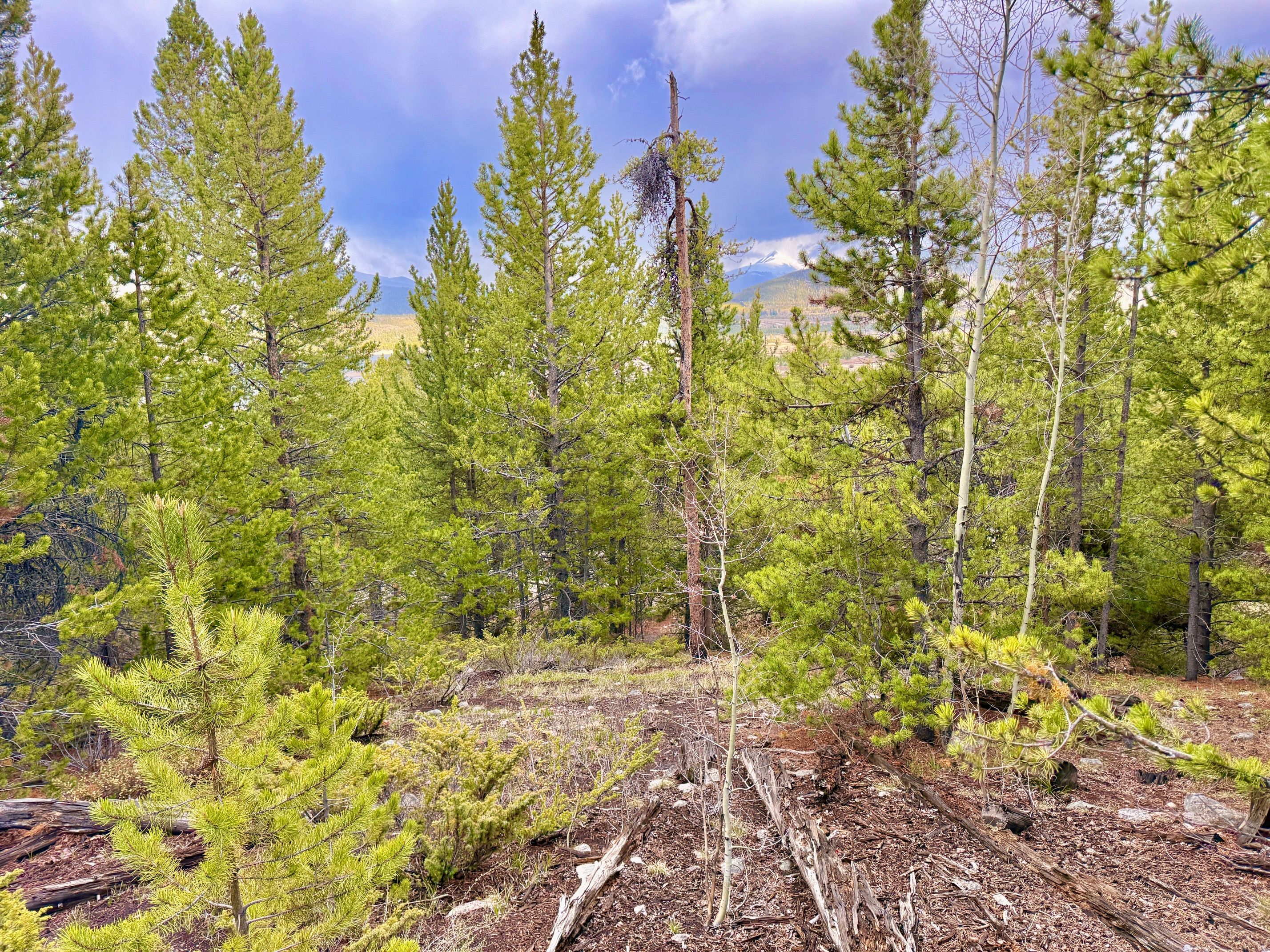  Giberson Preserve Lot 9 - 物件實景