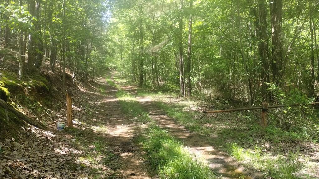Ranger, Georgia, 30734, United States, ,Residential,For Sale,1924900
