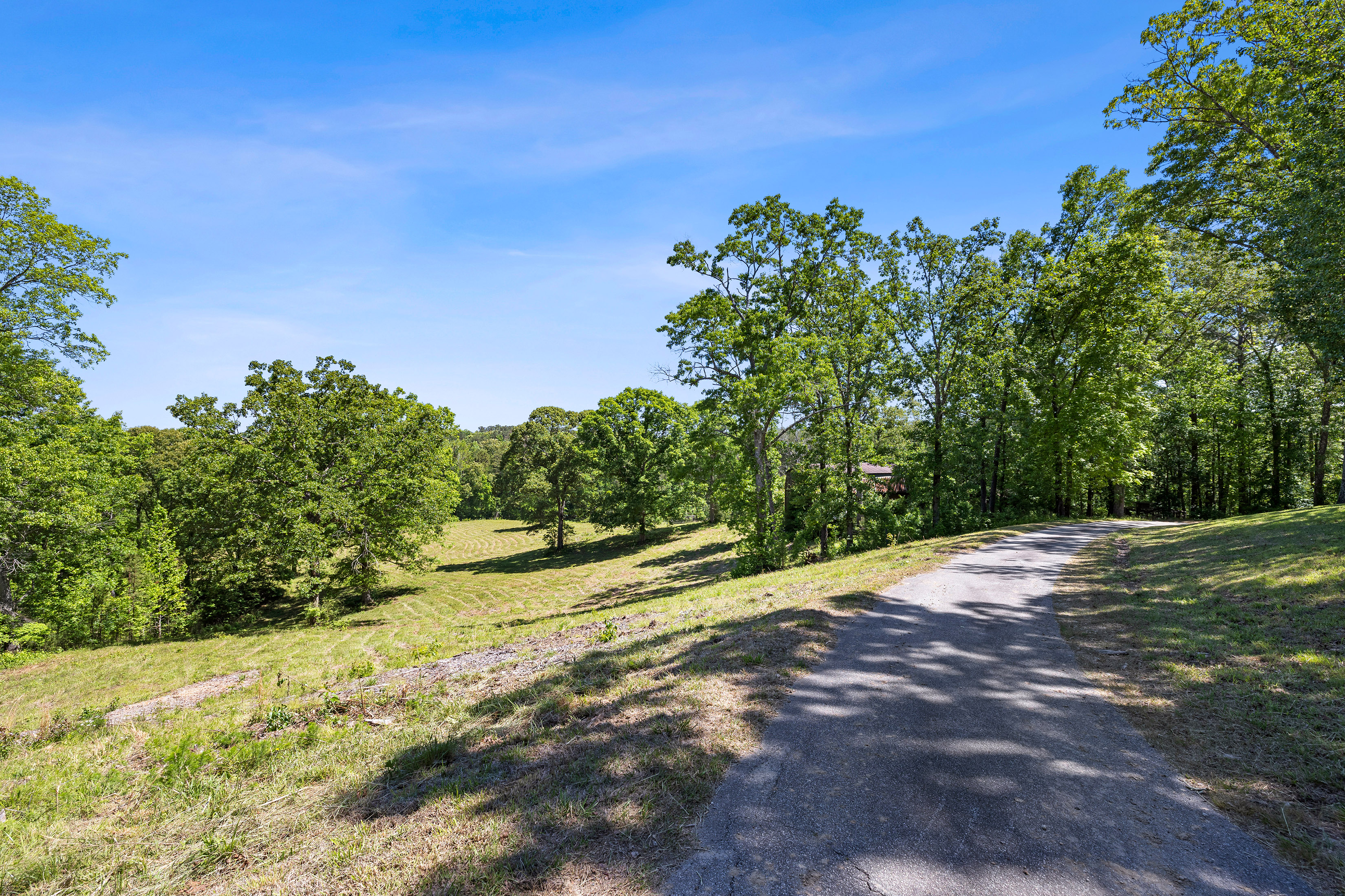  A Perfect Blend of Privacy and Natural Beauty in Newnan - 物件實景