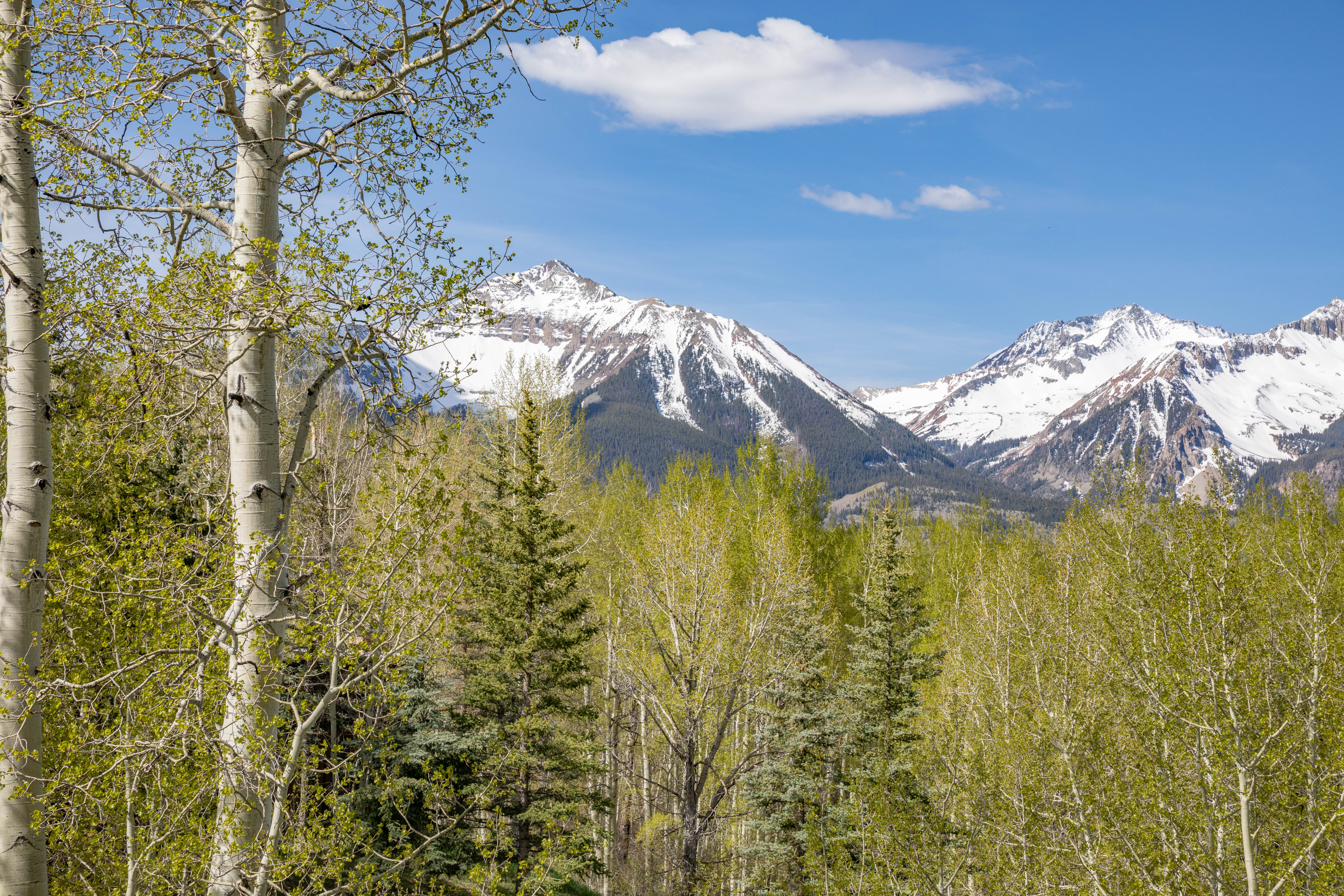  Secluded 4 Bed / 4 Bath Telluride Property - 物件實景