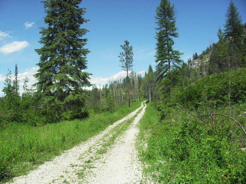 Northport, Washington, 99157, United States, ,Land,For Sale,1982244