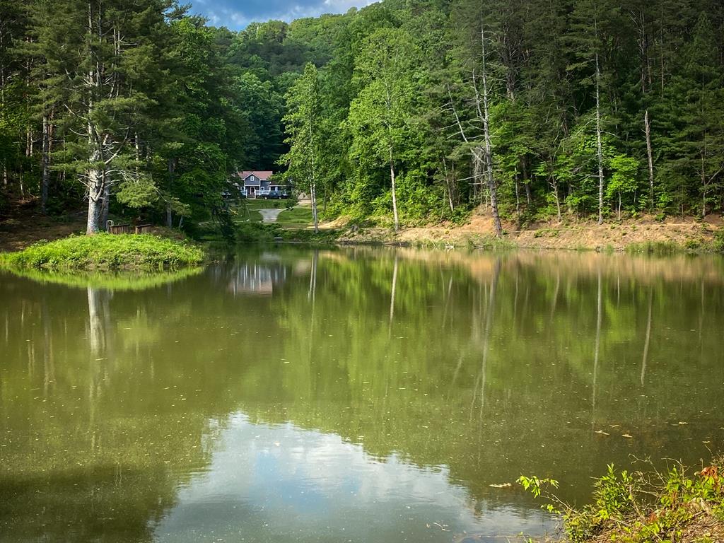 Ellijay, Georgia, 30536, United States, 5 Bedrooms Bedrooms, ,3 BathroomsBathrooms,Residential,For Sale,1982732