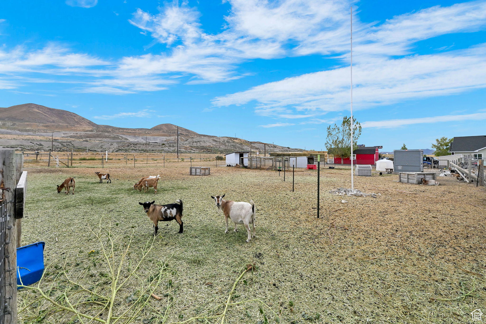 Tremonton, Utah, 84337, United States, 4 Bedrooms Bedrooms, ,3 BathroomsBathrooms,Residential,For Sale,1924806