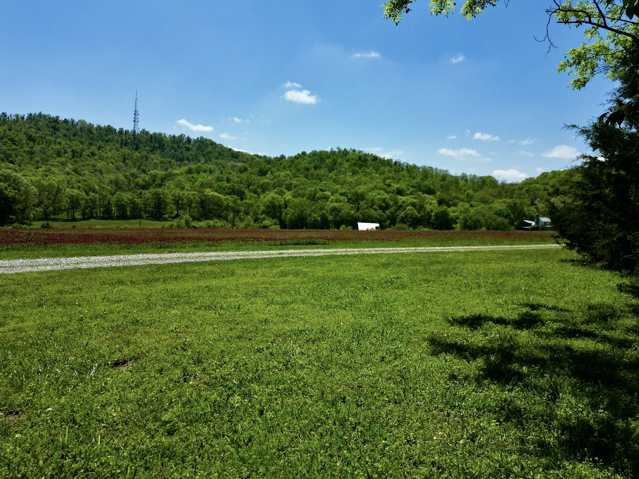  9591 Clovercroft Rd Lot 2, Franklin, TN, 37067 - 物件實景