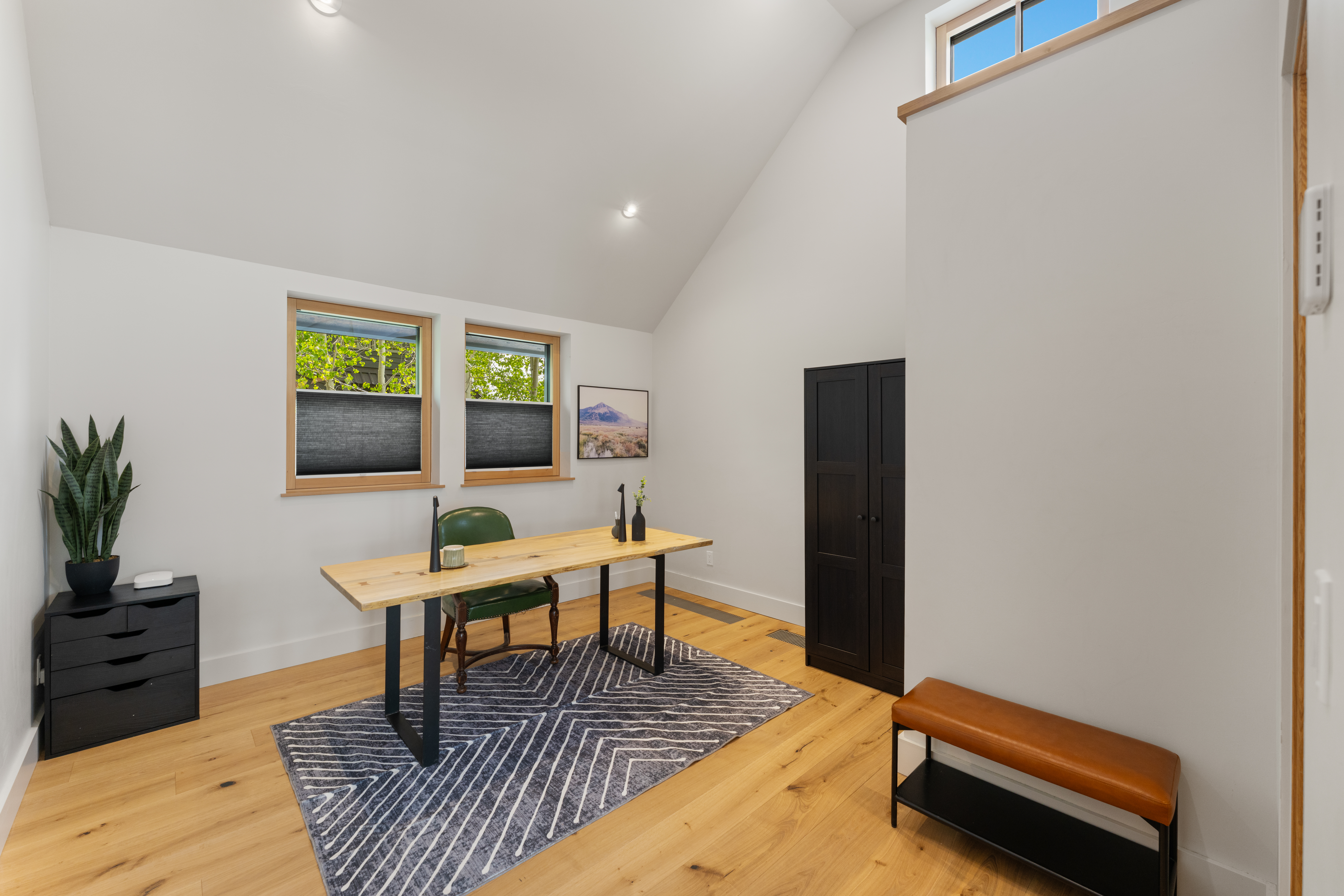  Cutting Edge Sustainable Construction with ADU in Crested Butte - 物件實景