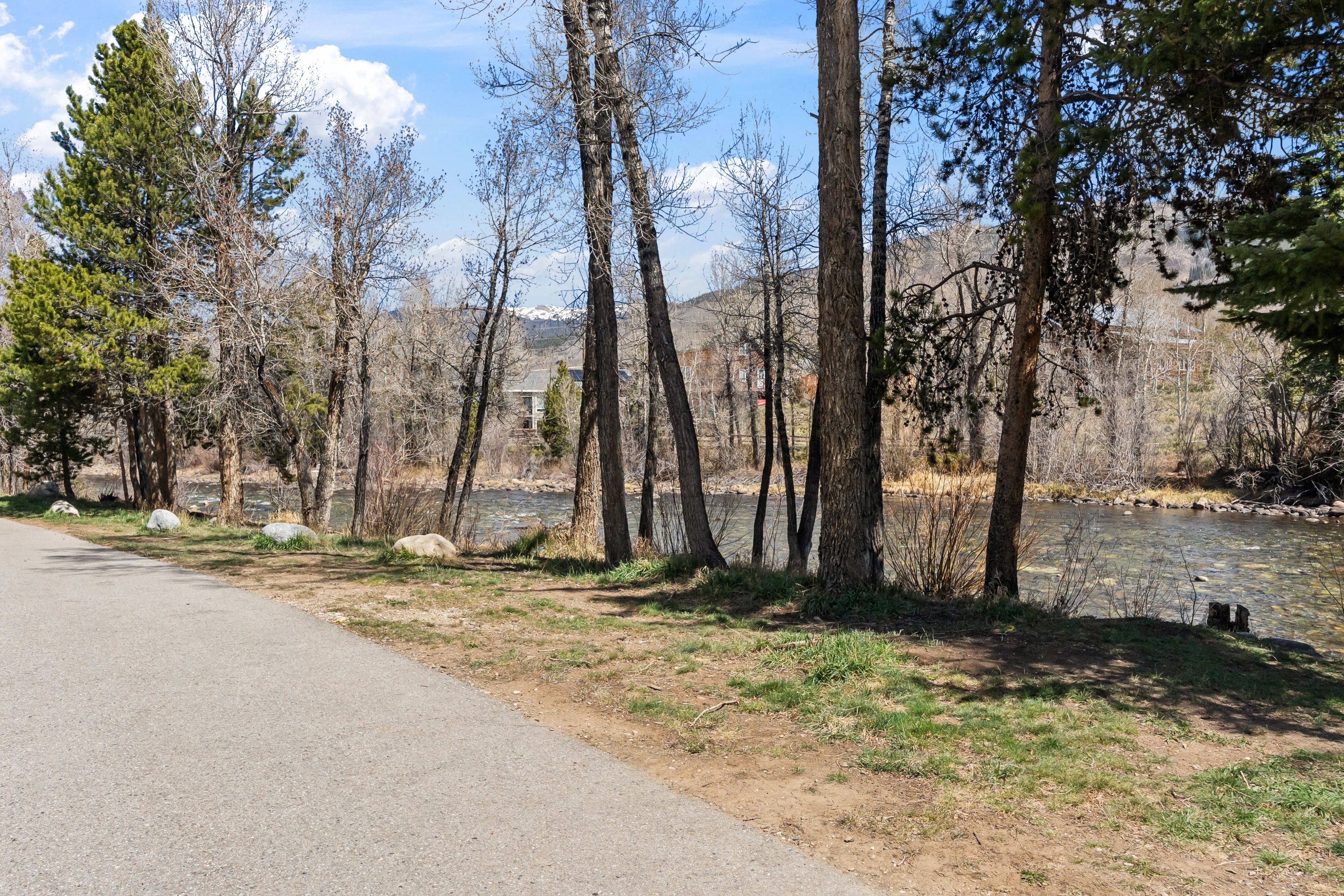  930 Blue River Parkway, Silverthorne, CO, 80498 - 物件實景