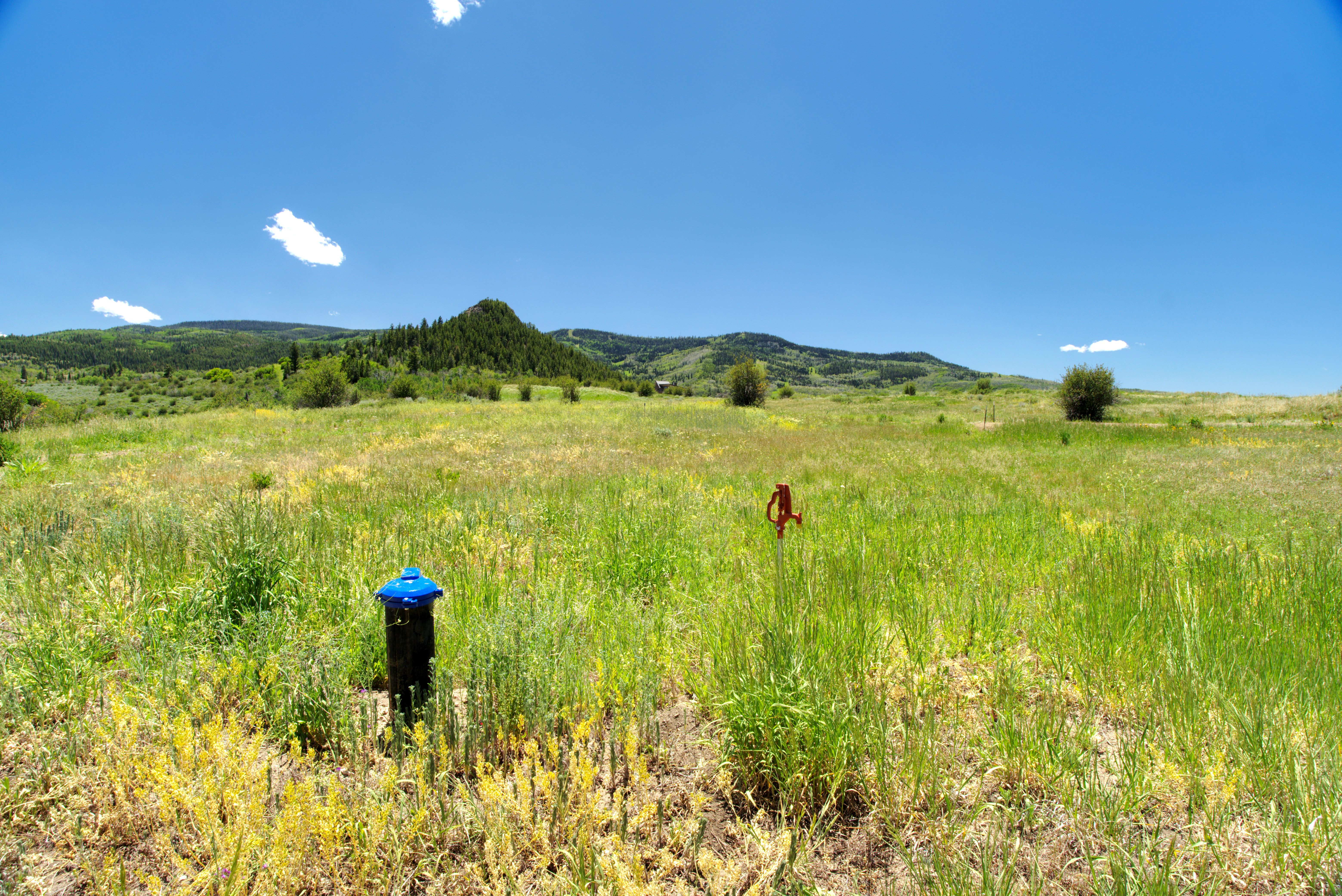  23590 Youngs Creek Way, Oak Creek, CO, 80467 - 物件實景