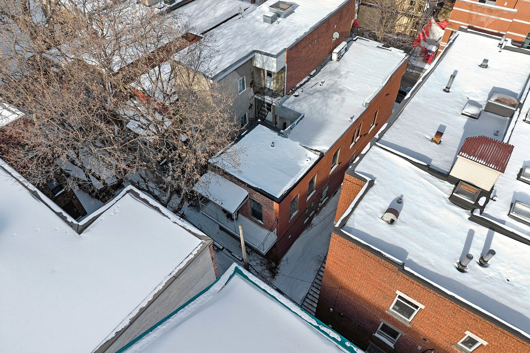  Le Plateau-Mont-Royal, Montréal - 物件實景