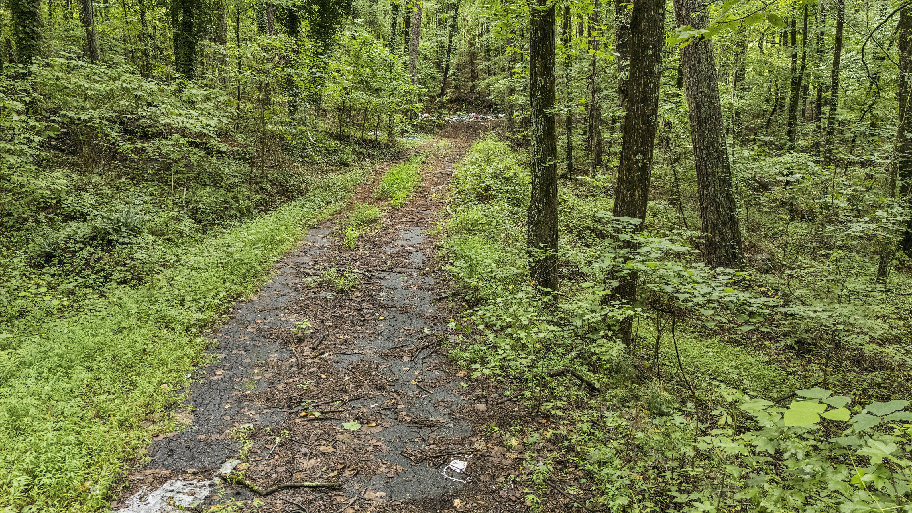  Incredible Opportunity on Over Ten Acres in Prime Stockbridge Location - 物件實景