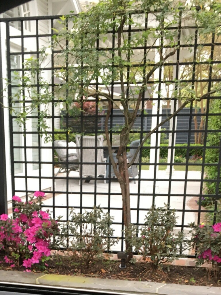 Houston, Texas, 77009, United States, 2 Bedrooms Bedrooms, ,2 BathroomsBathrooms,Residential,For Sale,2003490