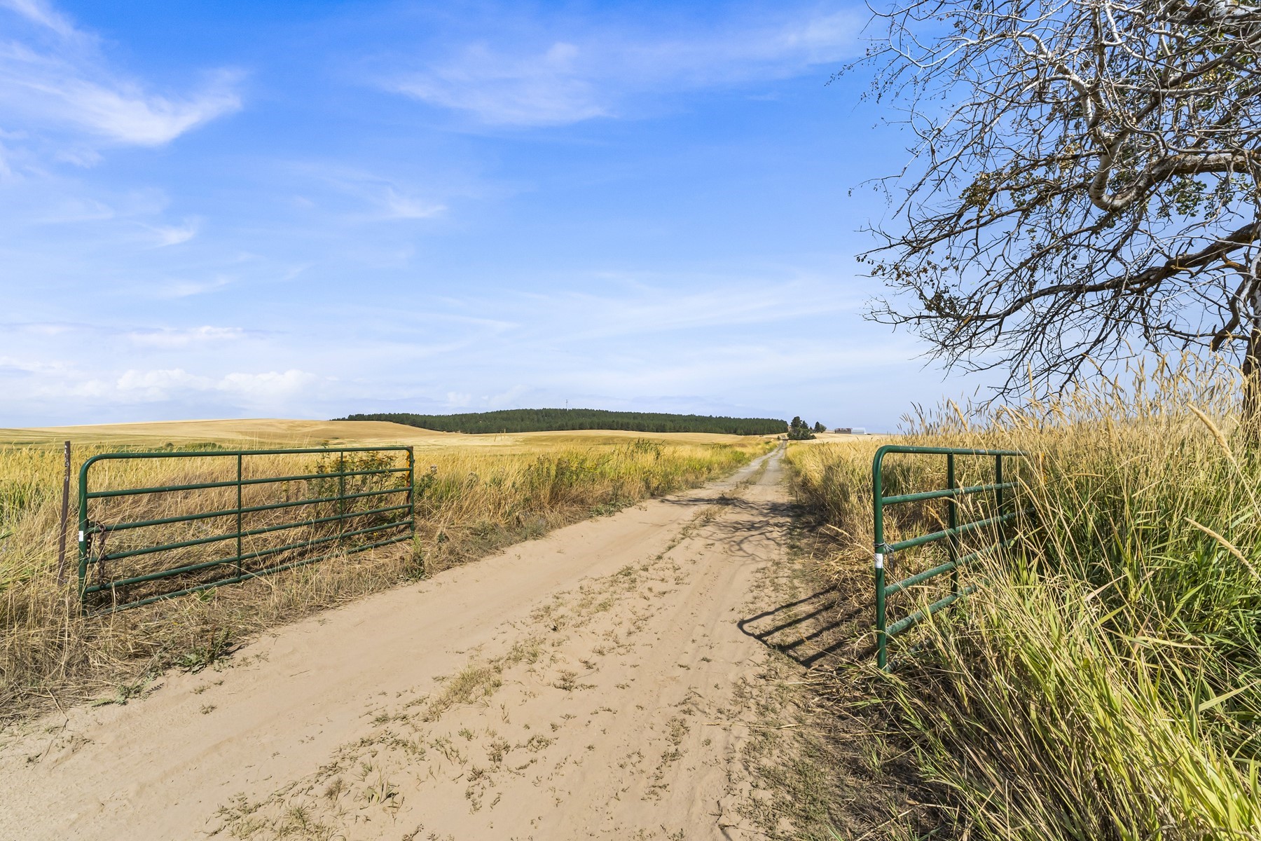  Worley Acreage - 物件實景
