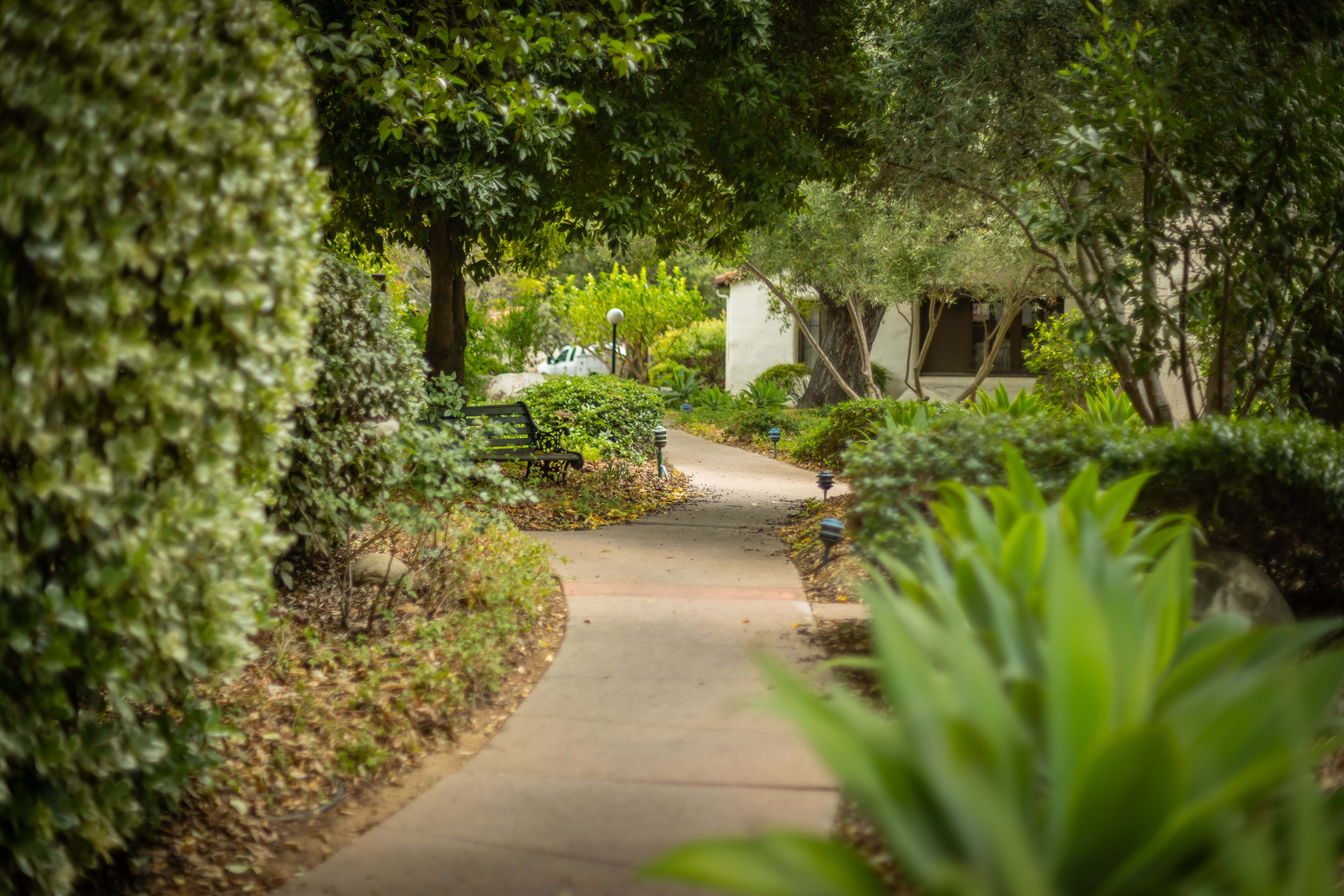  410 Church Road 24, Ojai, CA 93023 - 物件實景