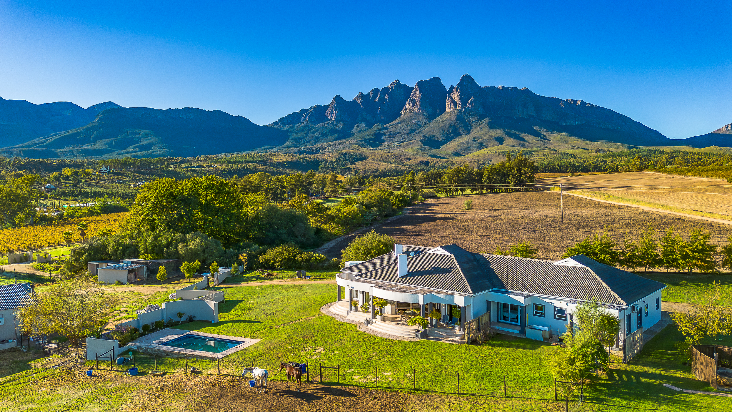 Lifestyle Farm with Established Revenue Stream in Bainskloof - 物件實景