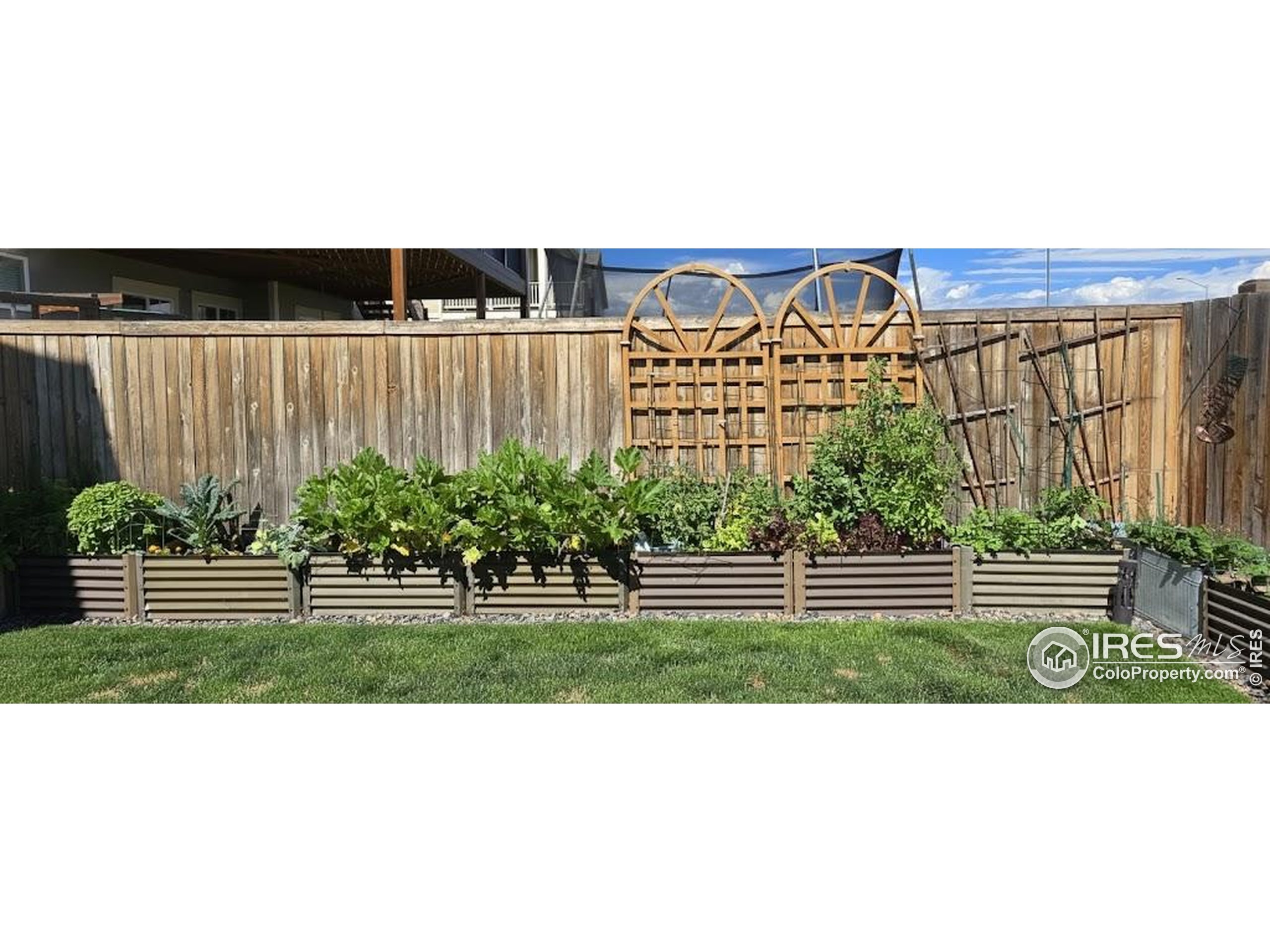 Thornton, Colorado, 80602, United States, 4 Bedrooms Bedrooms, ,4 BathroomsBathrooms,Residential,For Sale,1988981