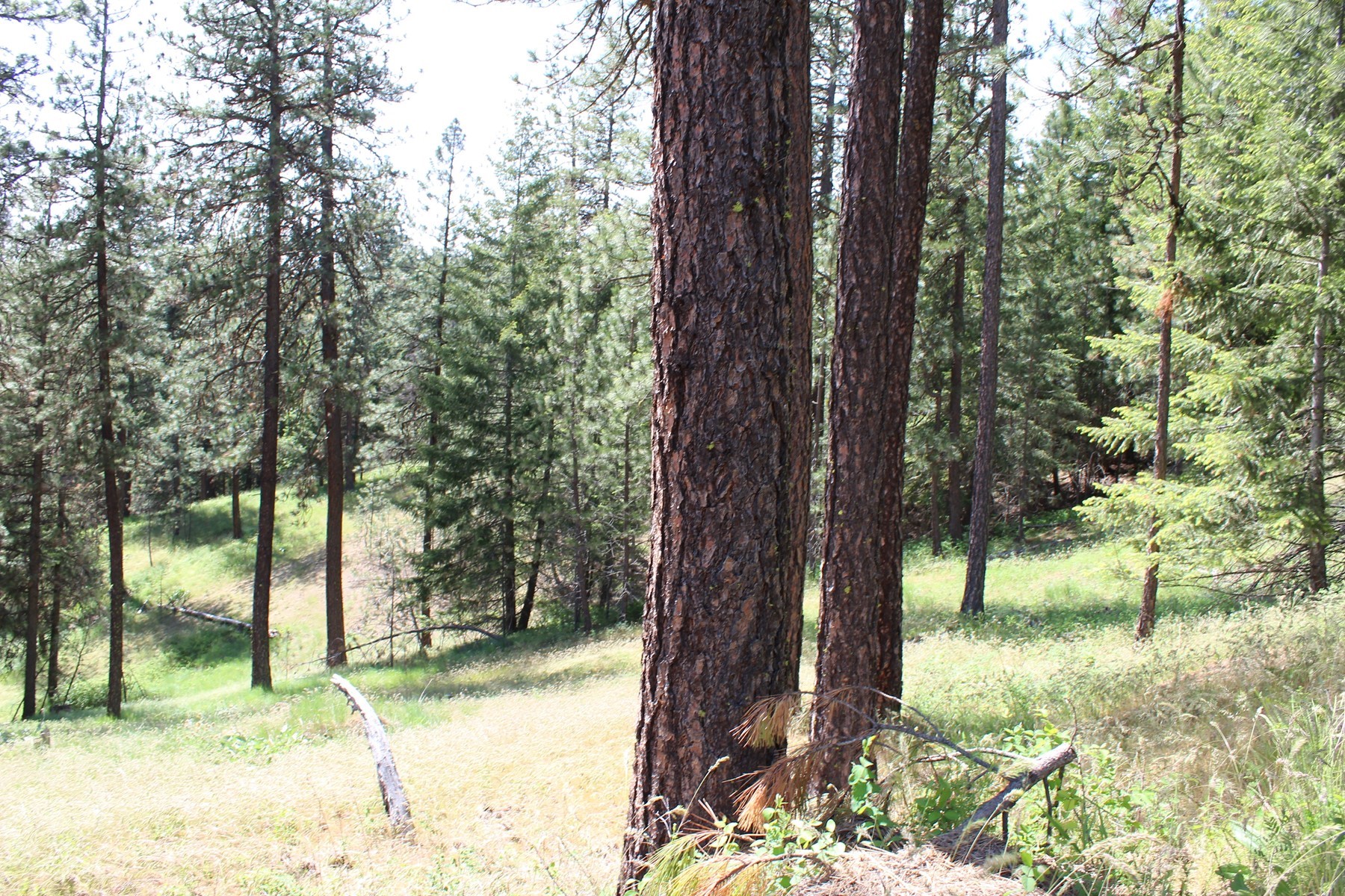  881 S Allen Rd and 2714 E Haven Dr Coeur d