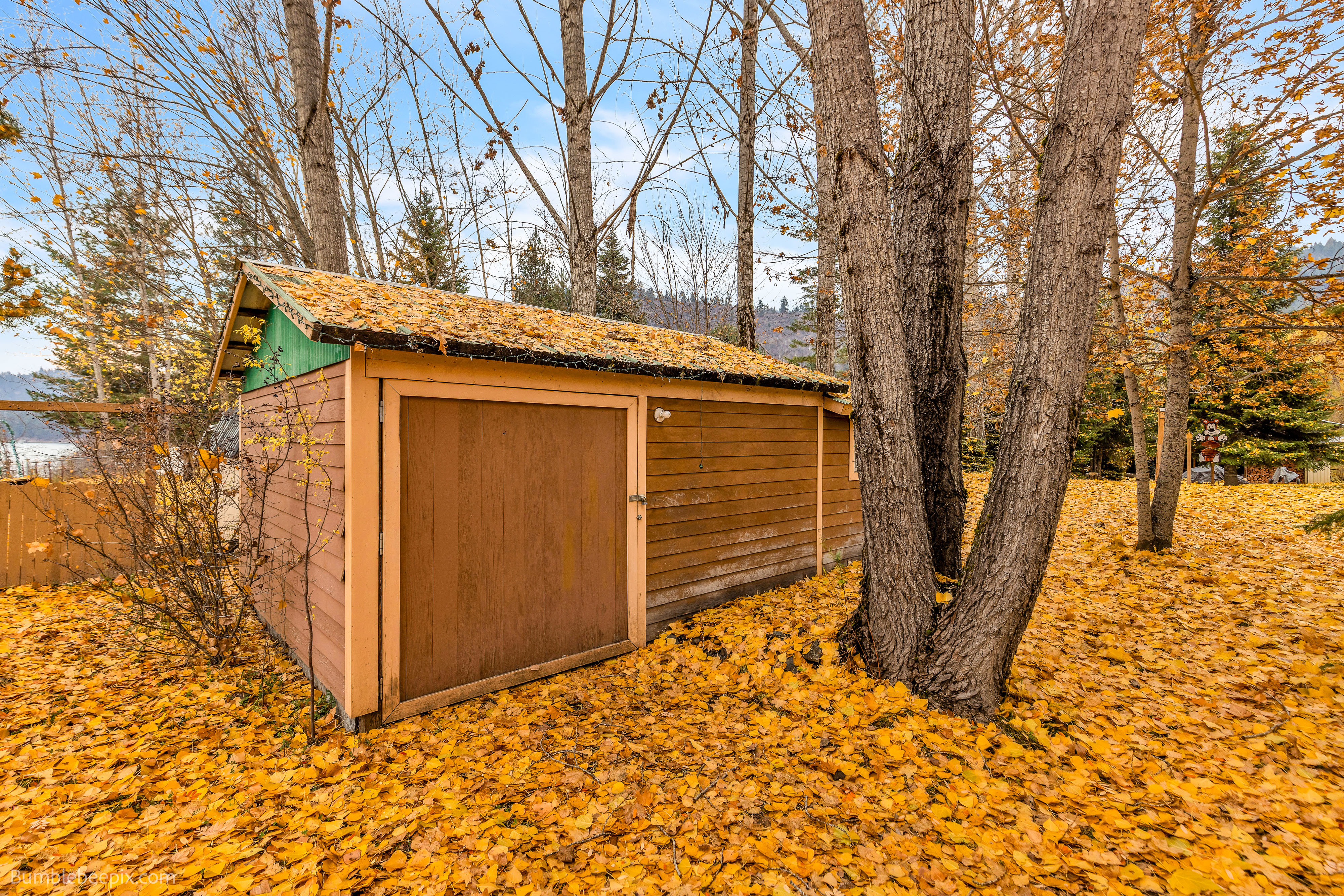 Cusick, Washington, 99119, United States, 4 Bedrooms Bedrooms, ,1 BathroomBathrooms,Residential,For Sale,1988641