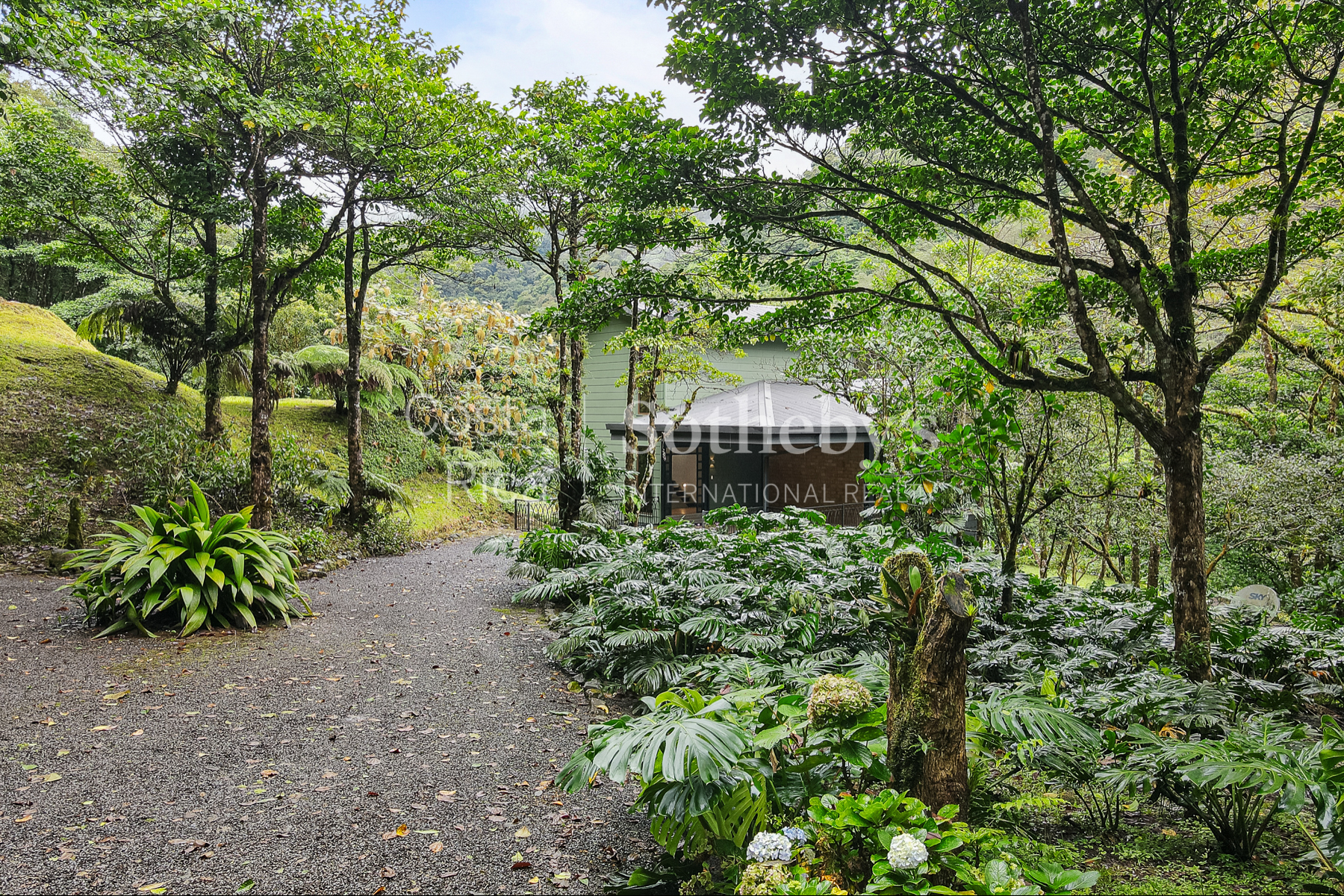  El Silencio Forest Luxe Retreat - 物件實景