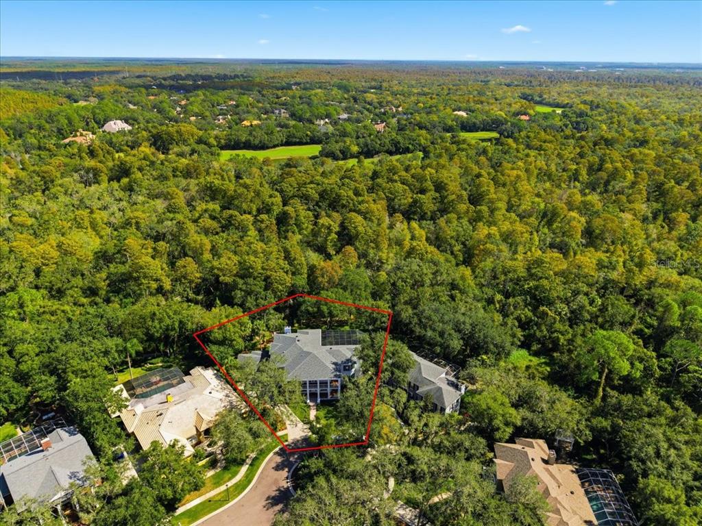 Tampa, Florida, 33647, United States, 4 Bedrooms Bedrooms, ,6 BathroomsBathrooms,Residential,For Sale,1989549