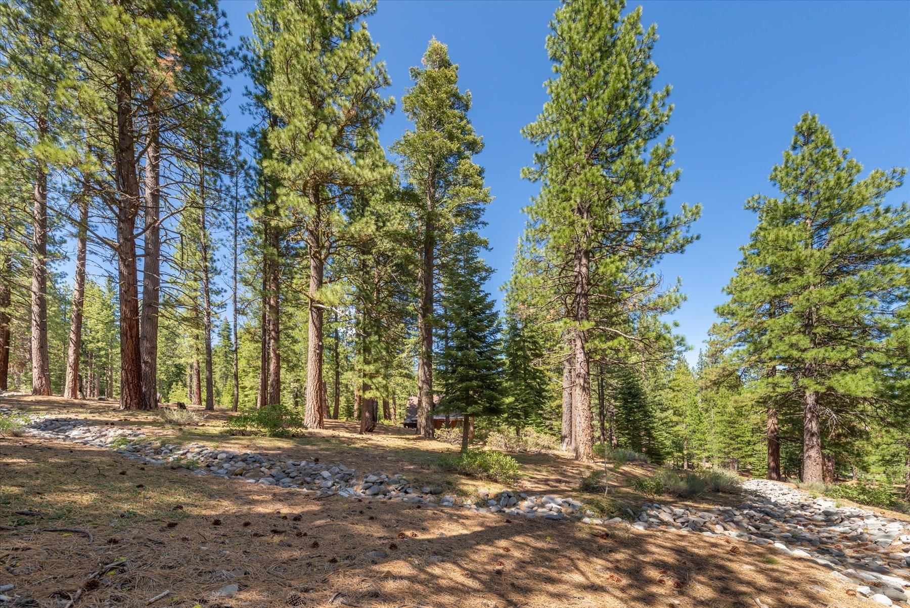 Truckee, California, 96161, United States, ,Land,For Sale,1828145
