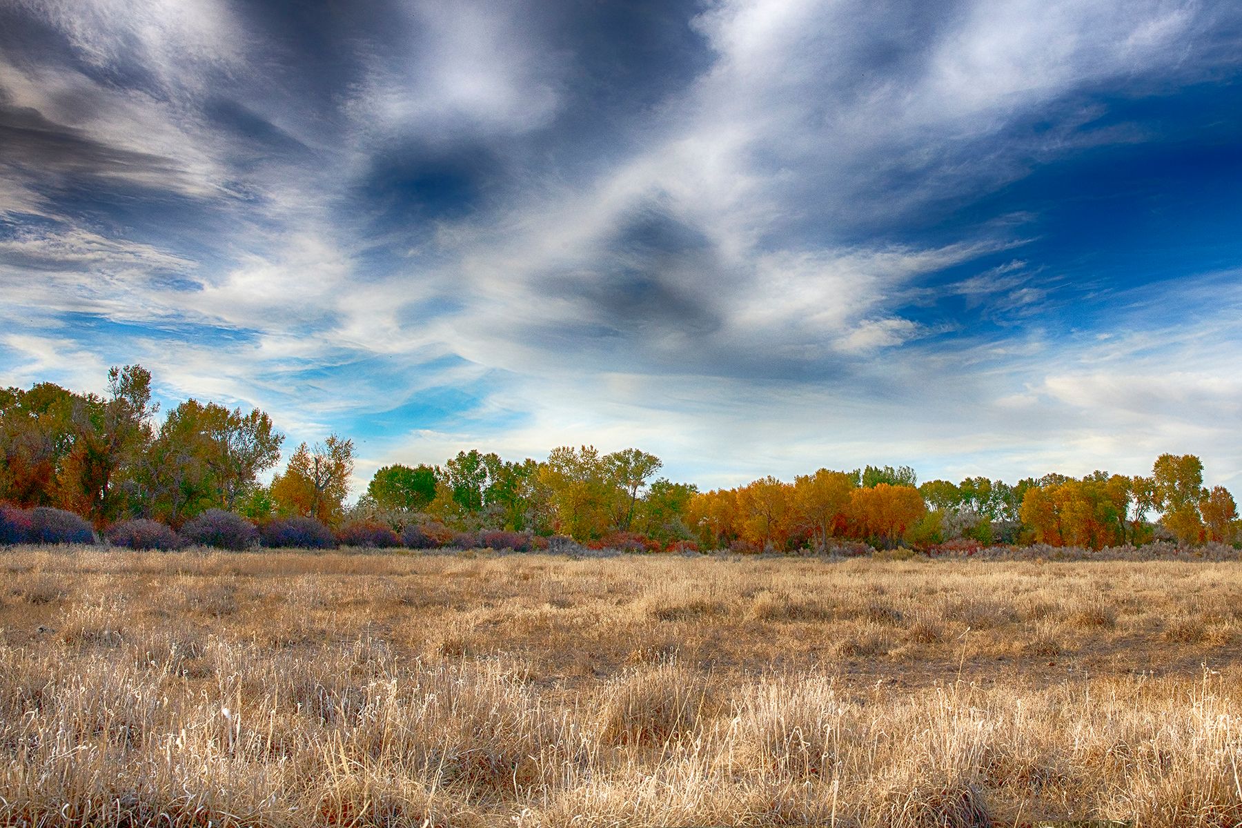 Wind River Ranch - 物件實景