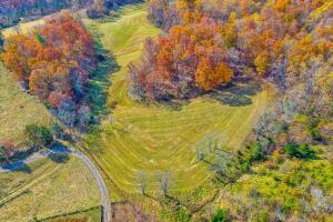 Fincastle, Virginia, 24090, United States, ,Residential,For Sale,1989448