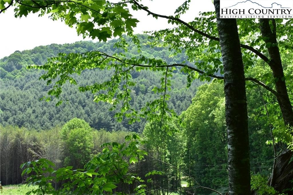 Warrensville, North Carolina, 28693, United States, ,Land,For Sale,1984173