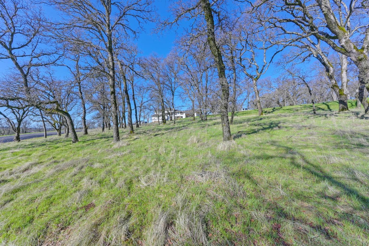 El Dorado Hills, California, 95762, United States, ,Land,For Sale,1994926