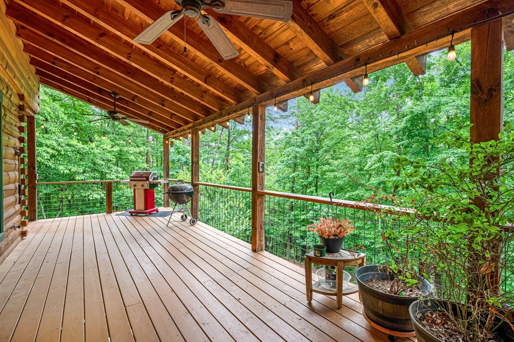 Ellijay, Georgia, 30540, United States, 3 Bedrooms Bedrooms, ,3 BathroomsBathrooms,Residential,For Sale,1999878