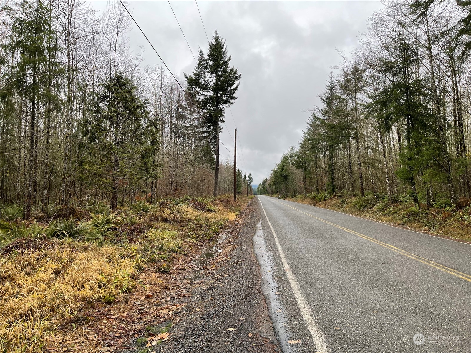 1 Xx Oppelt Road, Onalaska, Washington, 98570, United States, ,Land,For Sale,1 Xx Oppelt Road,1446946