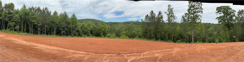 Pinnacle, North Carolina, 27043, United States, ,Land,For Sale,1829534