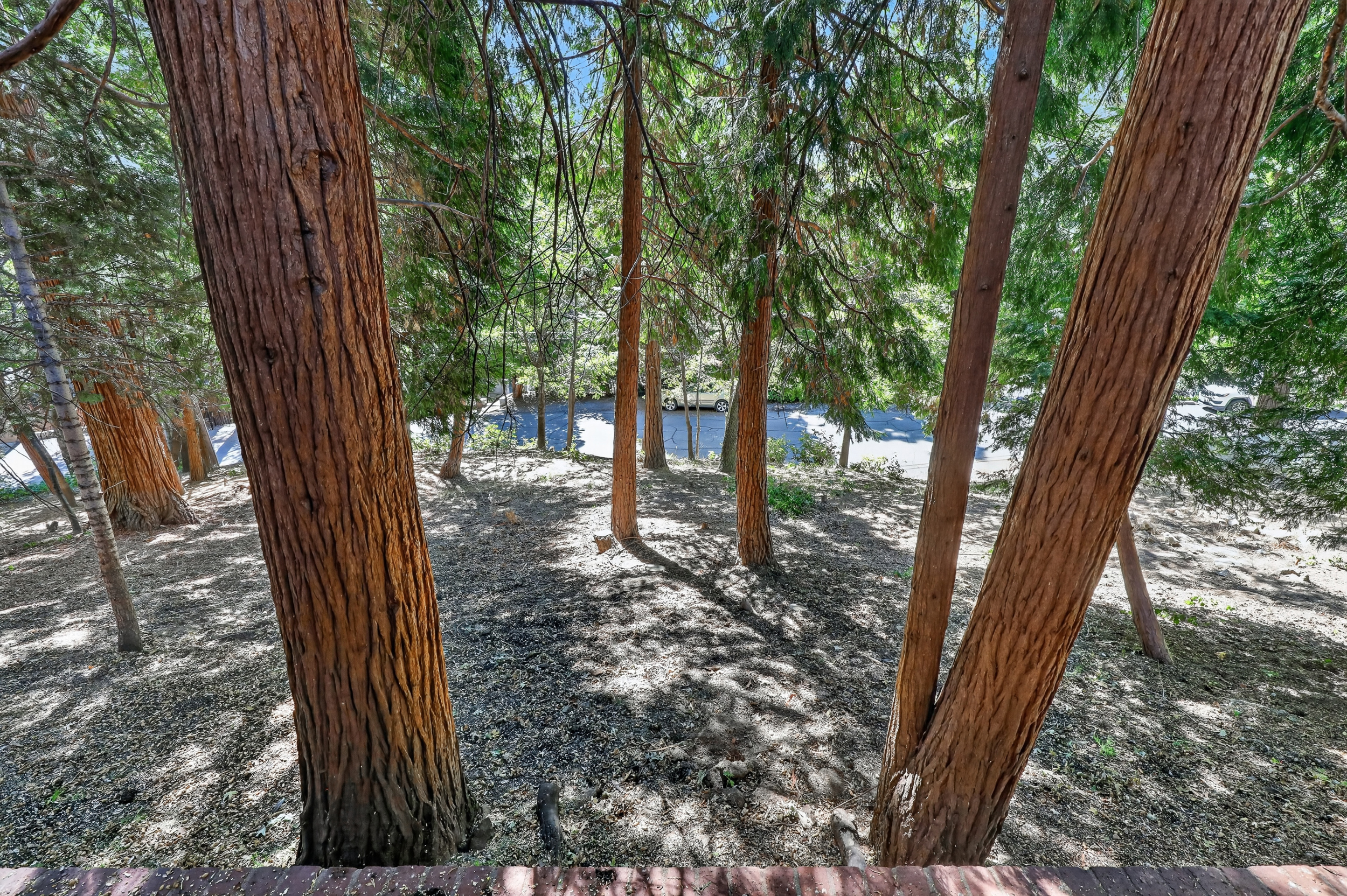  232 Sunset Drive, Lake Arrowhead, CA 92352 - 物件實景