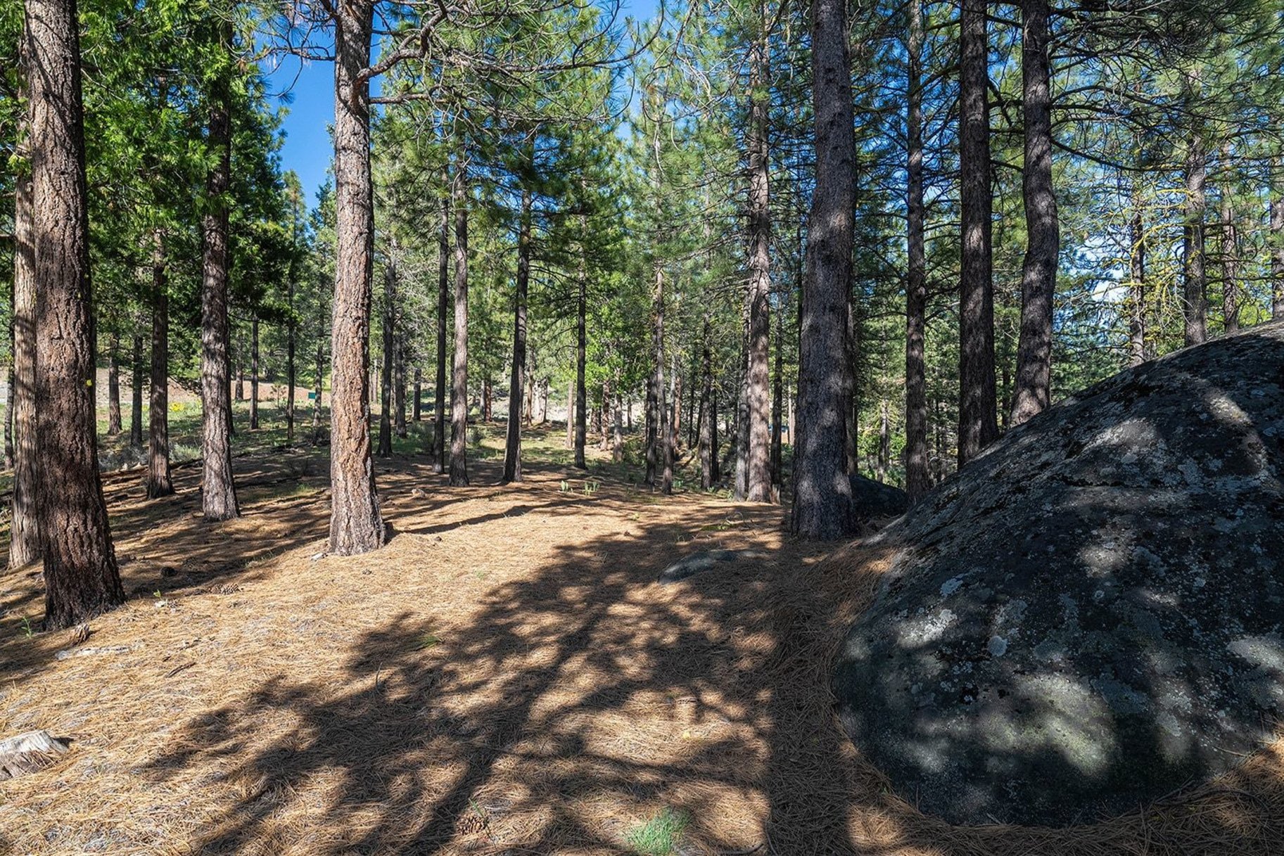  2.69 Private Acres in Nakoma with Stunning Eureka Peak Views - 物件實景