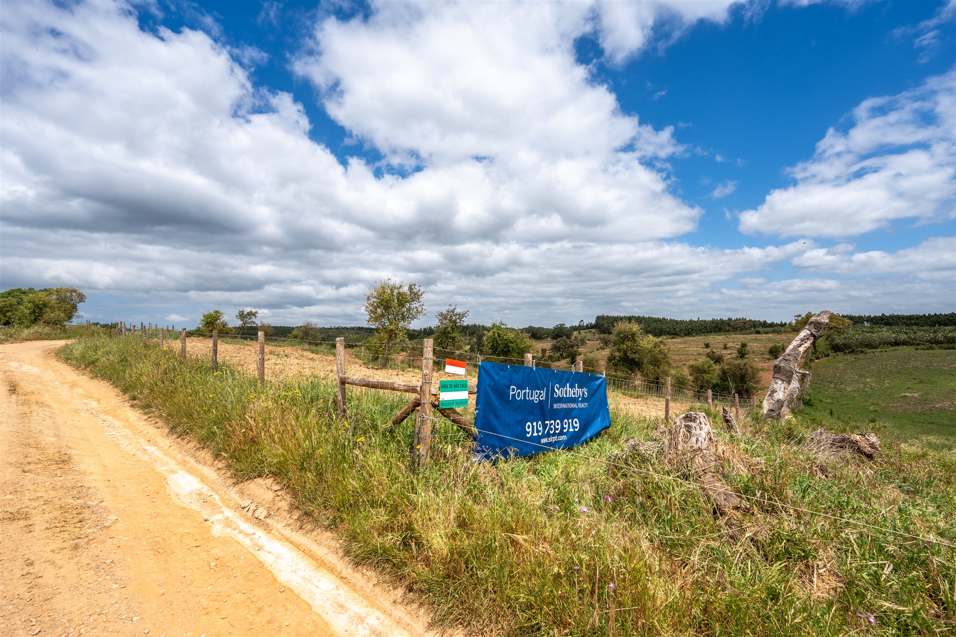  Stand for Sale - 物件實景