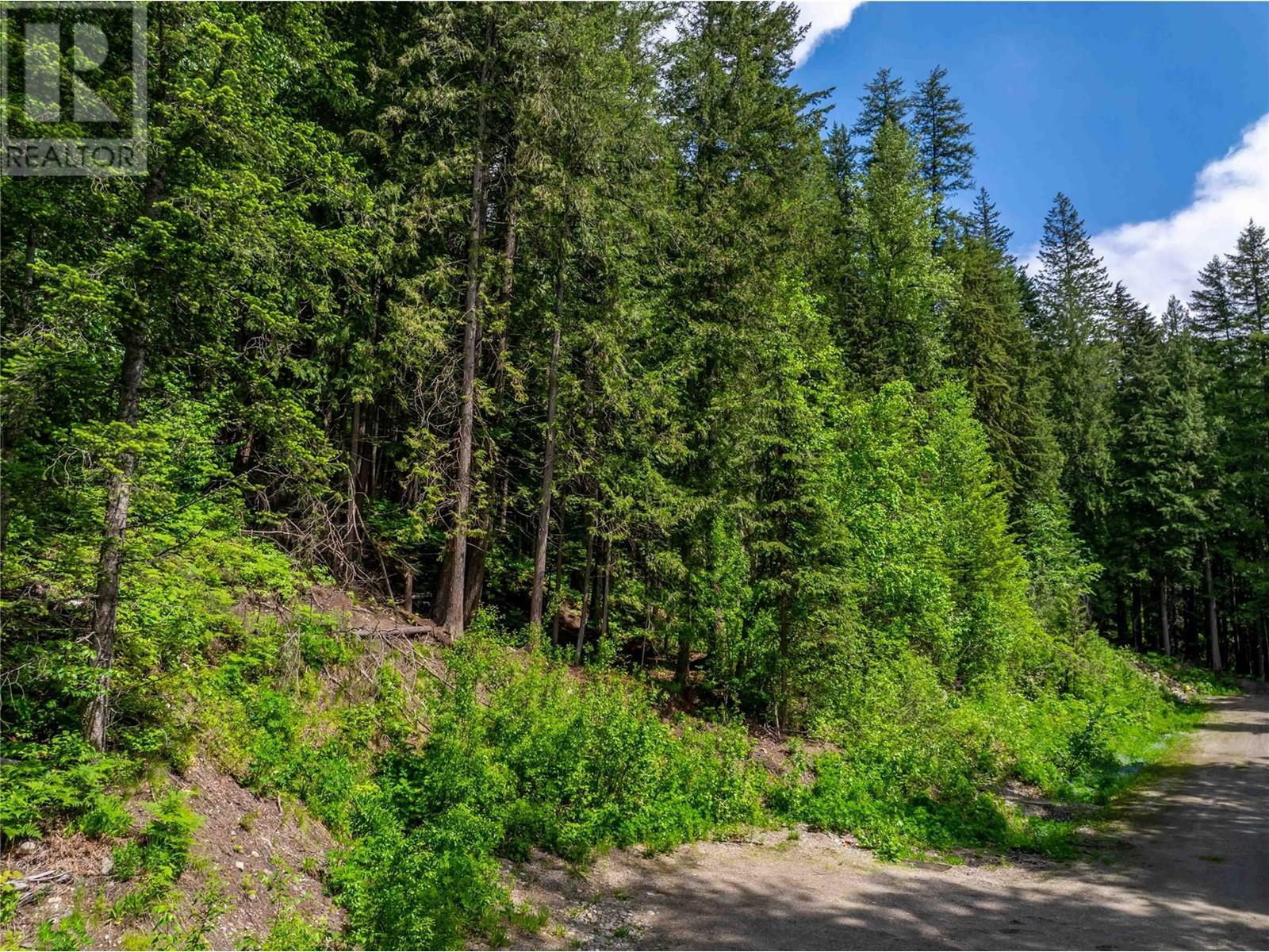 REVELSTOKE, British Columbia, V0E 2S0, CA, ,Residential,For Sale,1838541